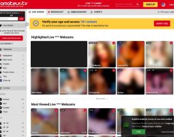 Amateur TV