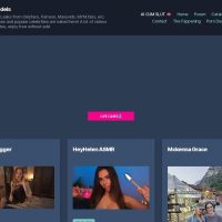 Leakedmodels