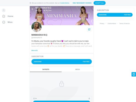 MiNiMASHA18