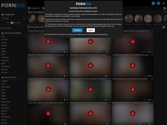 Porndig
