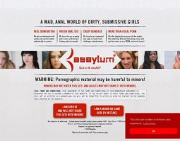 Assylum