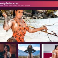 Dynastyseries