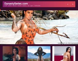 Dynastyseries