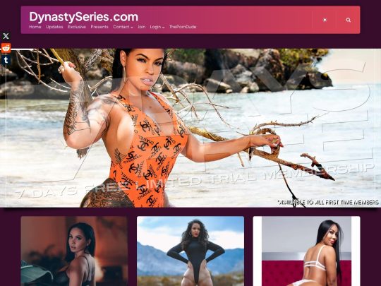 Dynastyseries