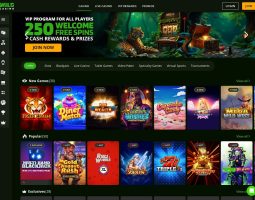 Wildcasino
