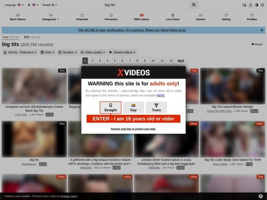 Xvideos Big Tits