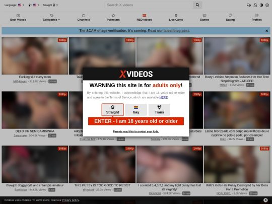 Xvideos PornForWomen
