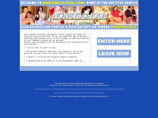 Honeyschool