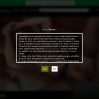 PervertGallery